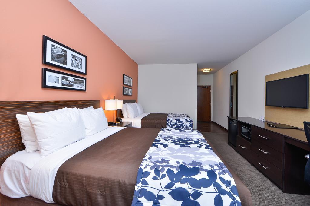 Sleep Inn & Suites Austin - Tech Center Quarto foto